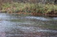 /album/fiske-nytt/img-3523-jpg/
